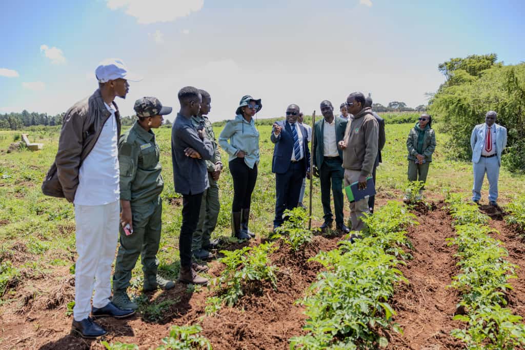 Youth in Agriculture
